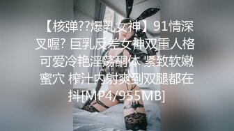 正宗SM游戏,女王与男仆