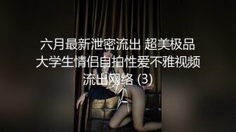 两男教师招妓嫖宿