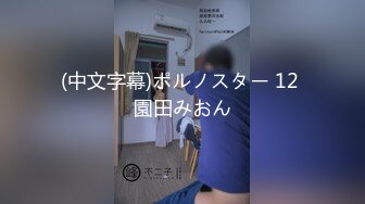 (中文字幕)ポルノスター 12 園田みおん