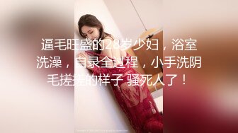 [MP4/637MB]大象傳媒 DS001 情欲絲襪巨乳的誘惑 林可菲