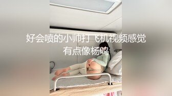 女友打桩机