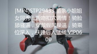 [MP4]STP28333 國產AV 起點傳媒 性視界傳媒 XSJ01 奇淫三國之三顧茅廬 仙兒媛 VIP0600