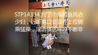 星空传媒-上海滩民国旗袍系列上海滩一代枭雄不要江山要美人-无双