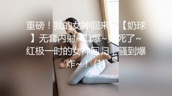 麻豆传媒-女房客之性诱惑-林怡梦