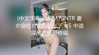 (中文字幕)泥酔MTGNTR 妻の会社の飲み会ビデオ5 中途採用社員研修編