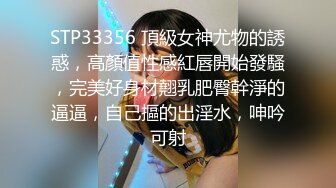 安防精品尤物系列-可以媲美一线当红女明星了5V[某房原版] (4)