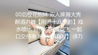 大老公和小老公