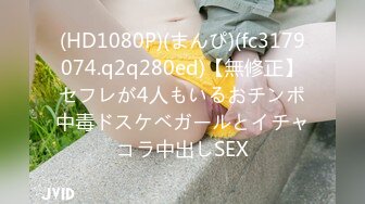 DYPE-001 兴风作浪的姐姐第一集女优海选篇