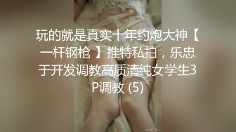 玩的就是真实十年约炮大神【一杆钢枪 】推特私拍，乐忠于开发调教高质清纯女学生3P调教 (5)