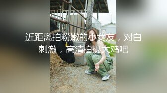 是个男人都无法抗拒的豪乳