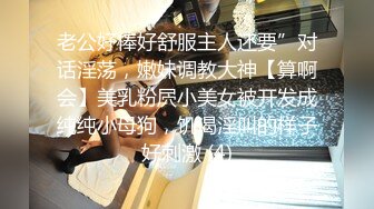 国产博主HongKongDoll（玩偶姐姐）onlyfans高清原档资源合集 (64)