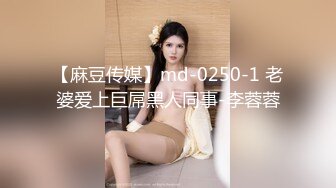 【麻豆传媒】md-0250-1 老婆爱上巨屌黑人同事-李蓉蓉