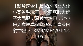 [MP4/755M]6/29最新 某航空姐上班服务旅客下班服务金主是母狗啪啪泄欲VIP1196