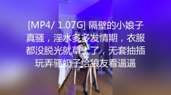 网红少女小金鱼 T3级《苍梧谣》主题福利包原档