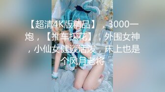 【超清4K版精品】，3000一炮，【推车探花】，外围女神，小仙女健谈活泼，床上也是个风月老将