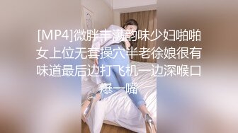 [MP4]微胖丰满韵味少妇啪啪女上位无套操穴半老徐娘很有味道最后边打飞机一边深喉口爆一嘴