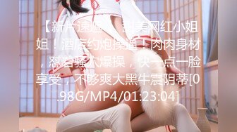 [MP4]STP24611 顶级颜值甜美高价大圈兼职美女，拨开情趣内裤揉小穴，跪地深喉口技不错，主动骑坐一脸享受，揉搓阴蒂 VIP2209