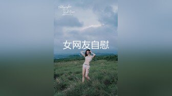 【视频】一茶S-马桶视角开发改造