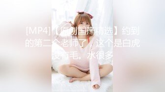 淫荡对白销魂呻吟，推特约炮大咖【夏次健】自传，调教爆肏巨乳肥臀小母狗，无套暴力输出肏到尖叫喊爸爸 (20)