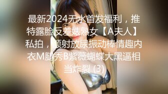 最新2024无水首发福利，推特露脸反差婊熟女【A夫人】私拍，颜射放尿振动棒情趣内衣M腿秀B紫薇蝴蝶大黑逼相当炸裂 (3)