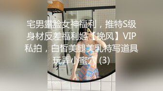 宅男露脸女神福利，推特S级身材反差福利姬【挽风】VIP私拍，白皙美腿美乳特写道具玩弄小蜜穴 (3)