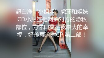 镜子前干东北熟女