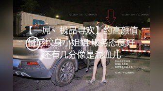 【一屌丶极品寻欢】约高颜值骨感纹身小姐姐 服务态度好还有几分像是混血儿