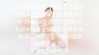 【全網首發】【稀缺】【群交派對★視覺盛宴】極品紋身女神『Meaw』2023性愛群交私拍★輪番爆操騷貨文身女神 高清1080P原版～稀缺資源勁爆收藏 (2)