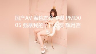 国产AV 蜜桃影像传媒 PMD005 强暴我的一日女友 辉月杏梨