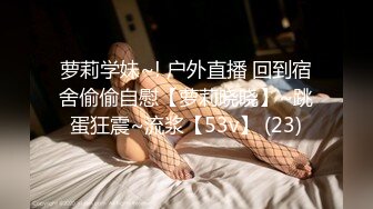 会有妻-你老婆其实是两百块钱的站街女特辑