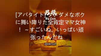 [アパタイト] ダメダメなボクに舞い降りた全肯定ママ女神！ ～すごいね、いっぱい顽张ったんだね♪♪