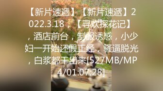 [MP4/ 437M]&nbsp;&nbsp; 粉鲍极品少妇工地搭讪务工男,经常干活,力气真大,站立插入极品粉沐洱