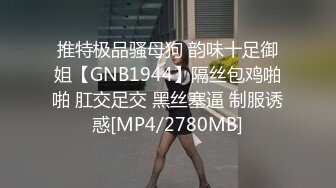 推特极品骚母狗 韵味十足御姐【GNB1944】隔丝包鸡啪啪 肛交足交 黑丝塞逼 制服诱惑[MP4/2780MB]