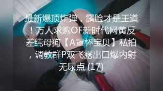 后入母狗老婆2