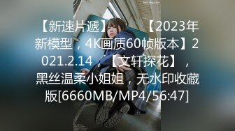 【新速片遞】 ⭐⭐⭐【2023年新模型，4K画质60帧版本】2021.2.14，【文轩探花】，黑丝温柔小姐姐，无水印收藏版[6660MB/MP4/56:47]